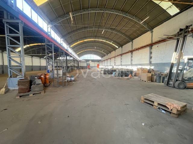 immagine annuncio 6 di 12