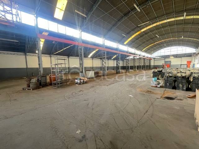 immagine annuncio 1 di 12