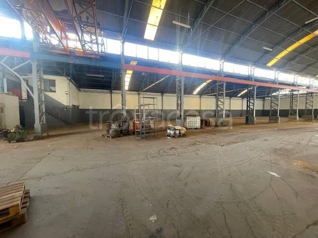 immagine annuncio 2 di 12