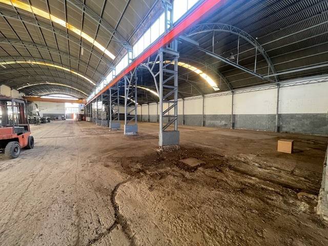 immagine annuncio 4 di 12