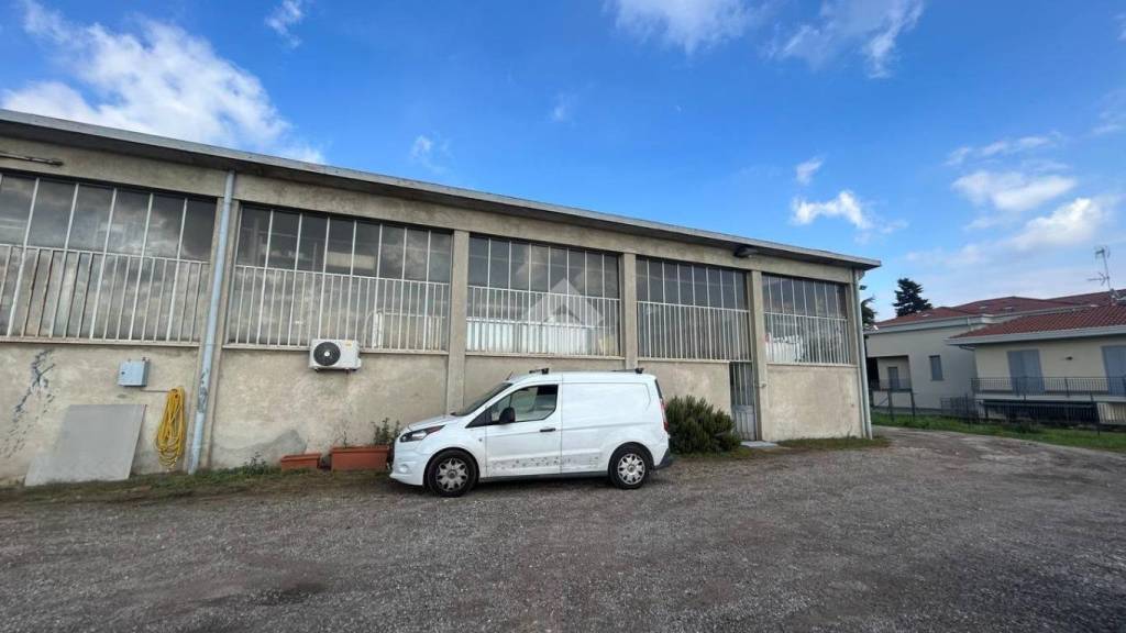 immagine annuncio 3 di 15