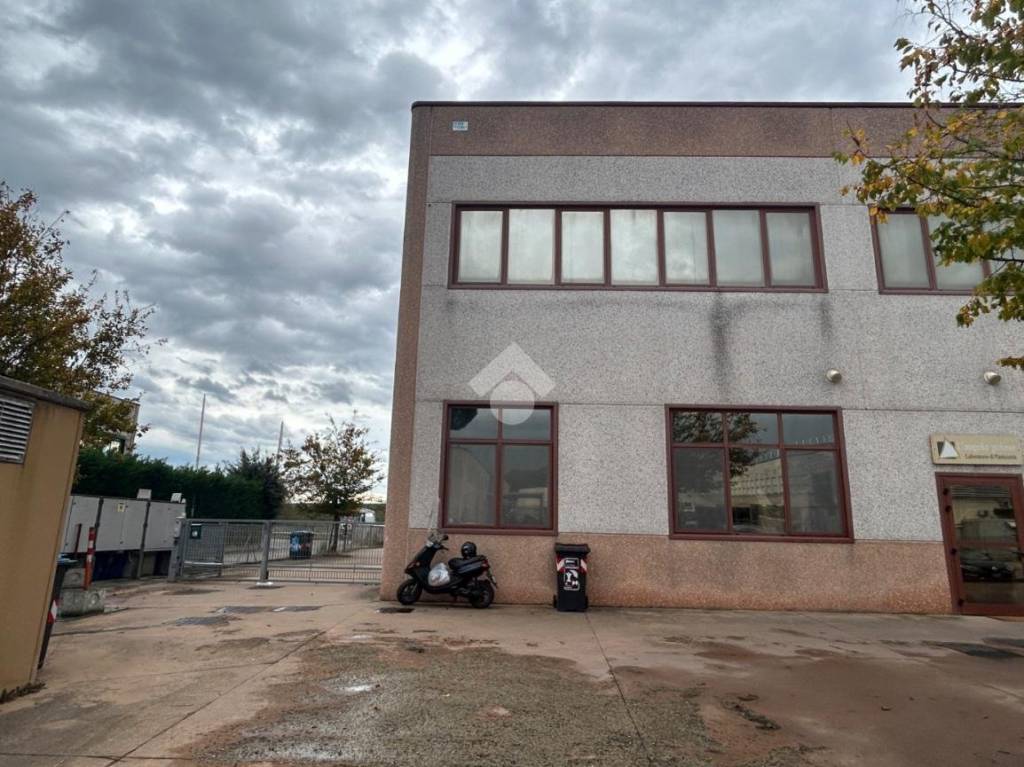 immagine annuncio 11 di 12