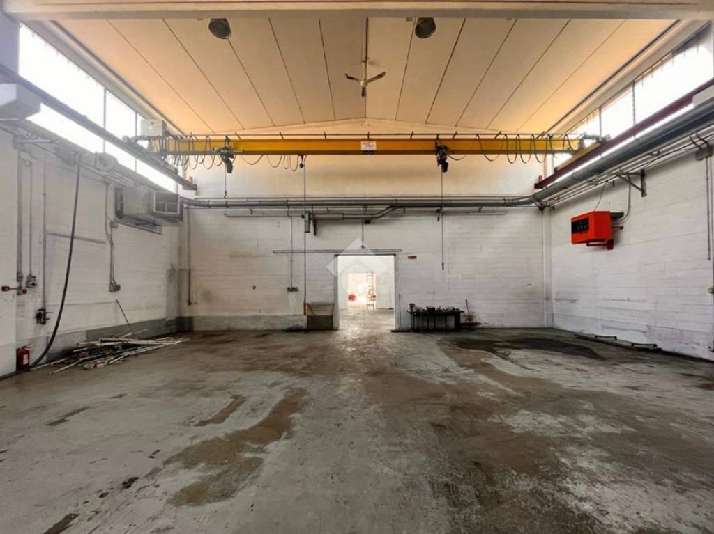 immagine annuncio 7 di 15