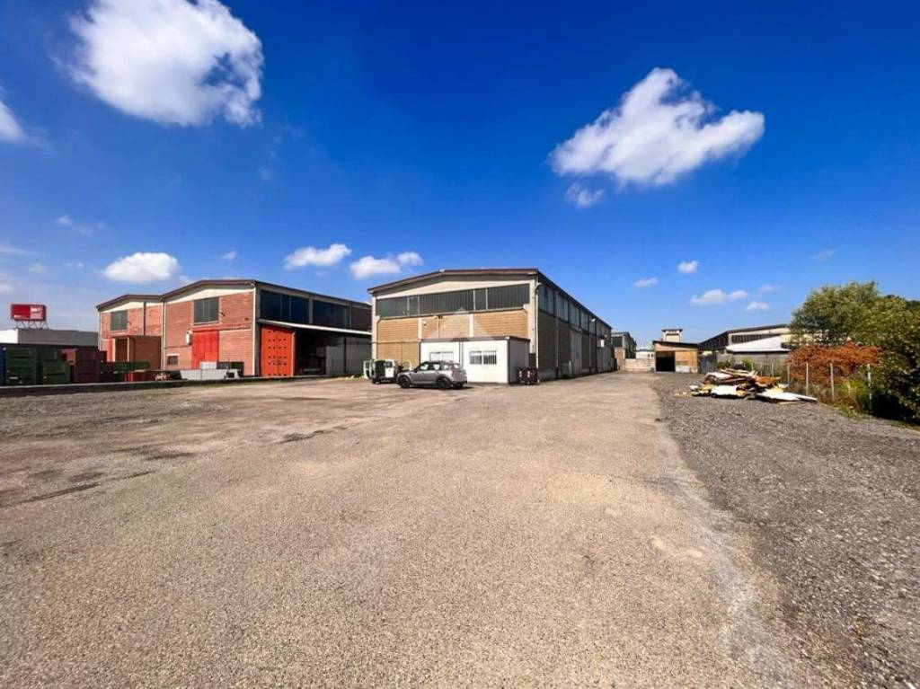 immagine annuncio 10 di 15