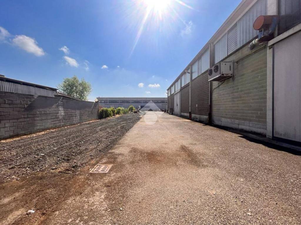 immagine annuncio 12 di 15