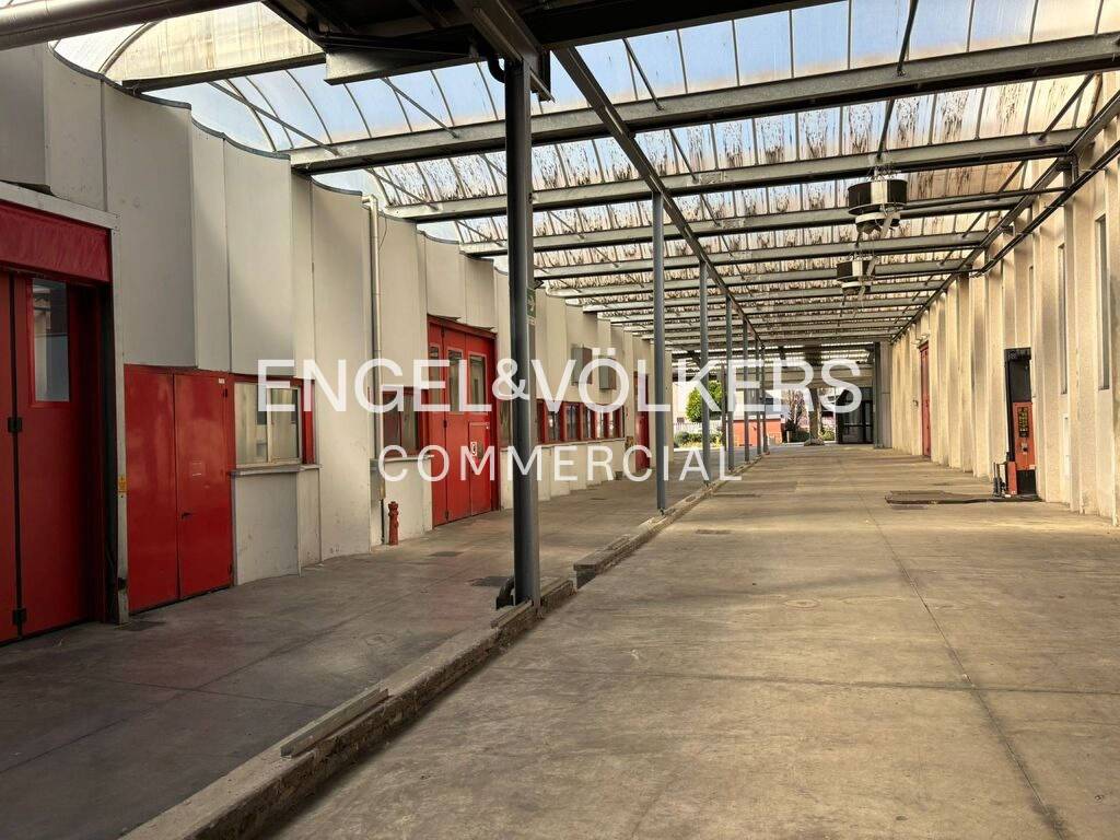 immagine annuncio 12 di 15