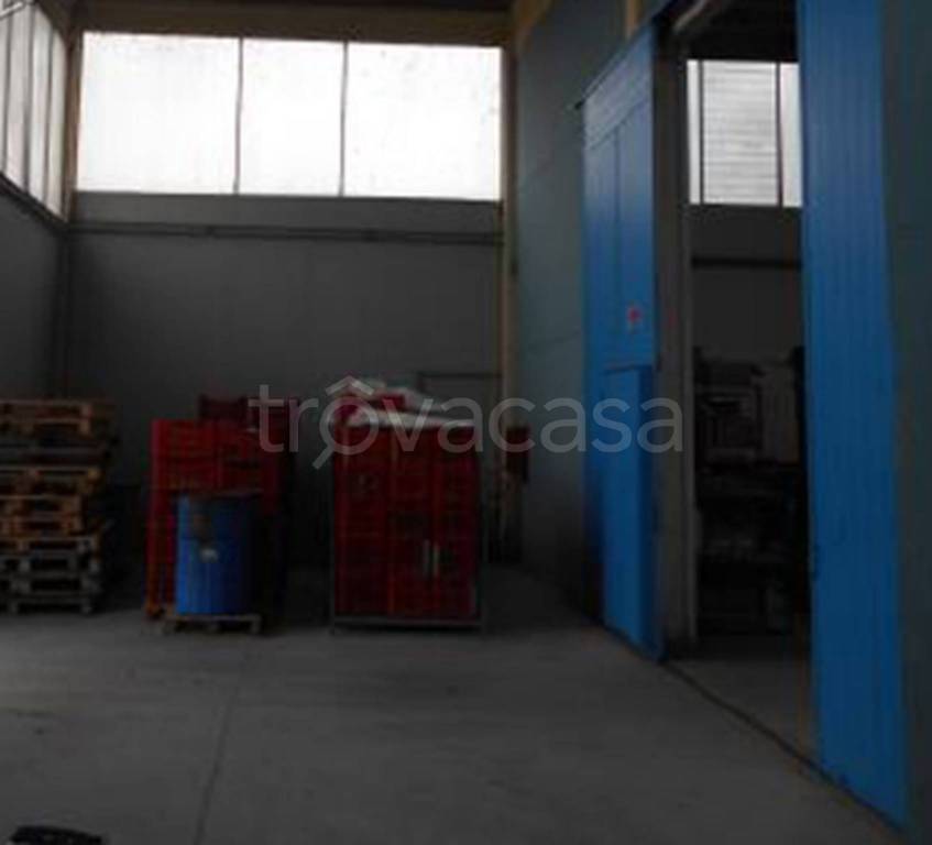 immagine annuncio 5 di 11