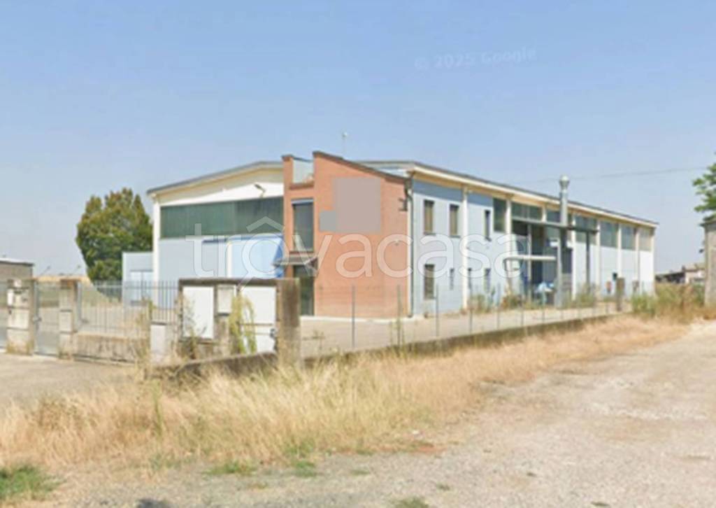 immagine annuncio 6 di 11