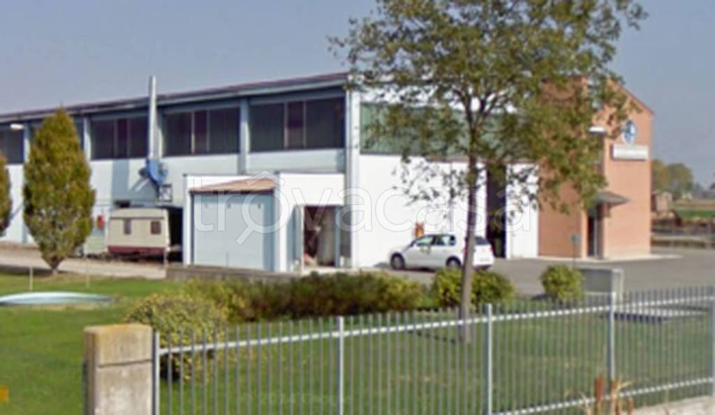 immagine annuncio 9 di 11