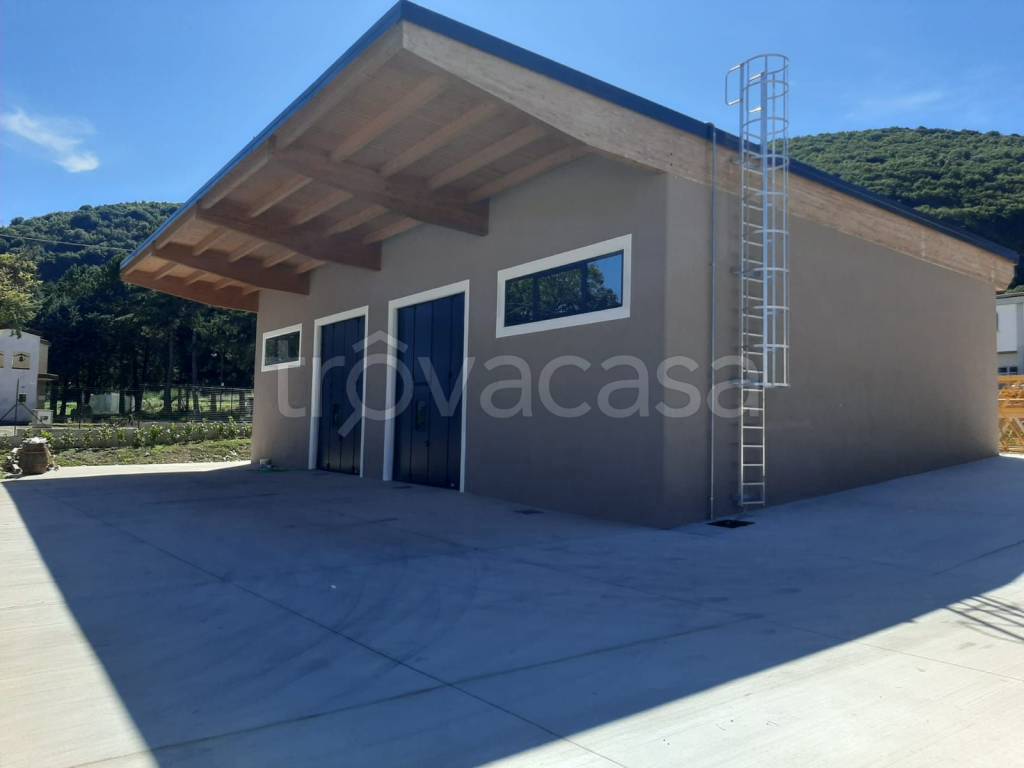 immagine annuncio 11 di 12