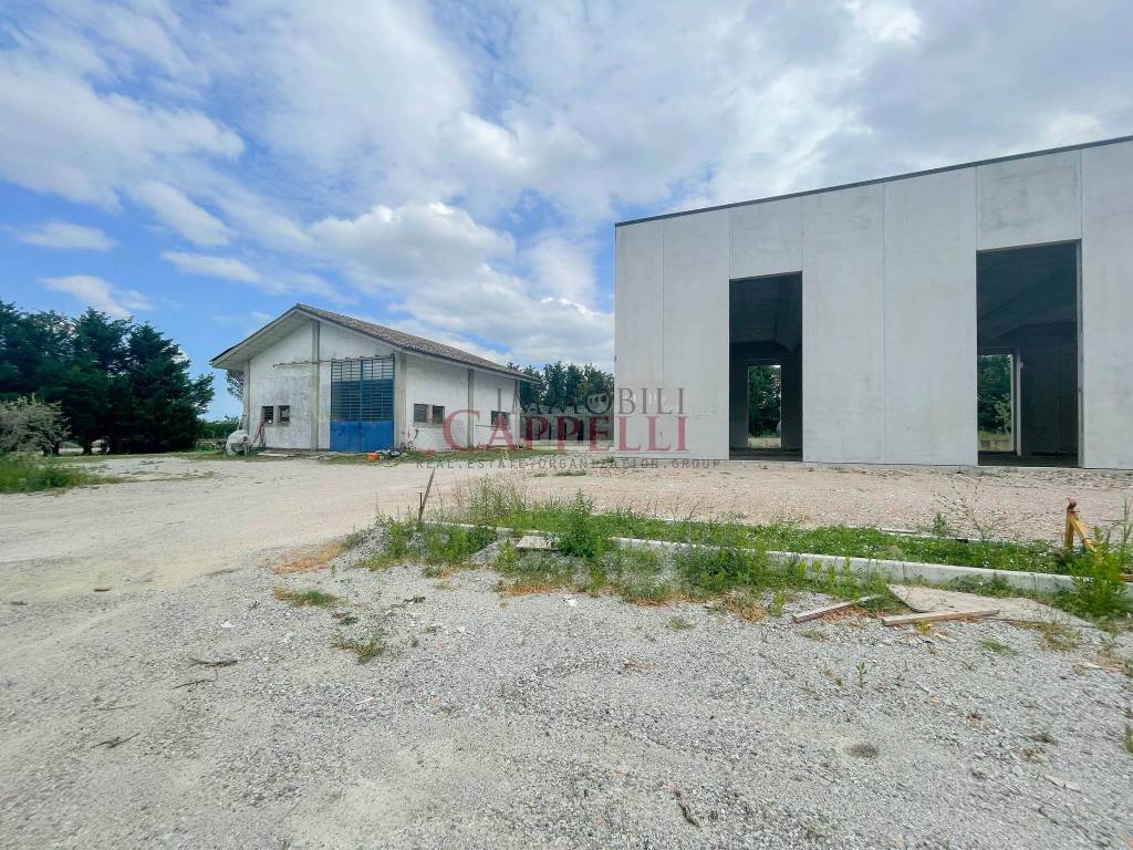 immagine annuncio 5 di 15