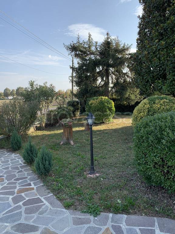 immagine annuncio 5 di 8