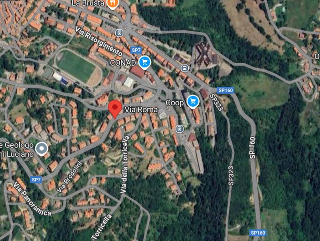 immagine annuncio 4 di 12