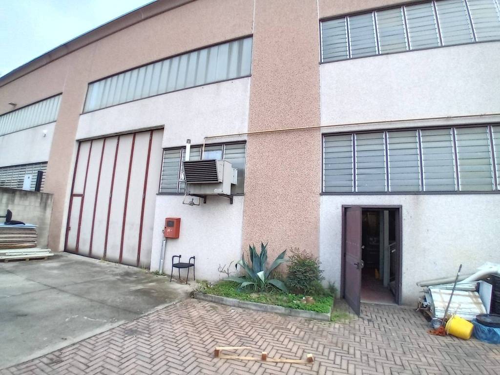 immagine annuncio 6 di 15