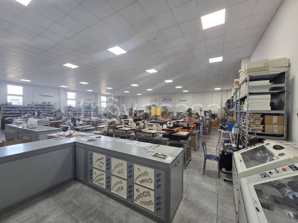 immagine annuncio 6 di 13