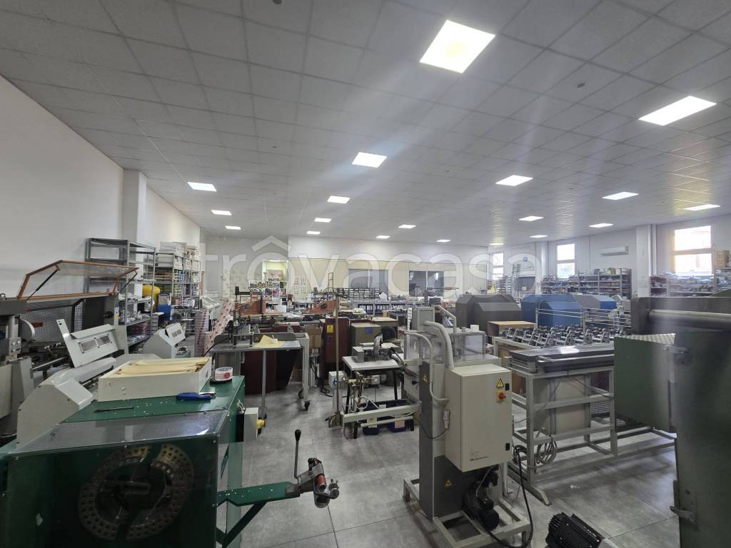 immagine annuncio 7 di 13