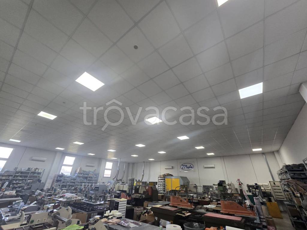 immagine annuncio 9 di 13