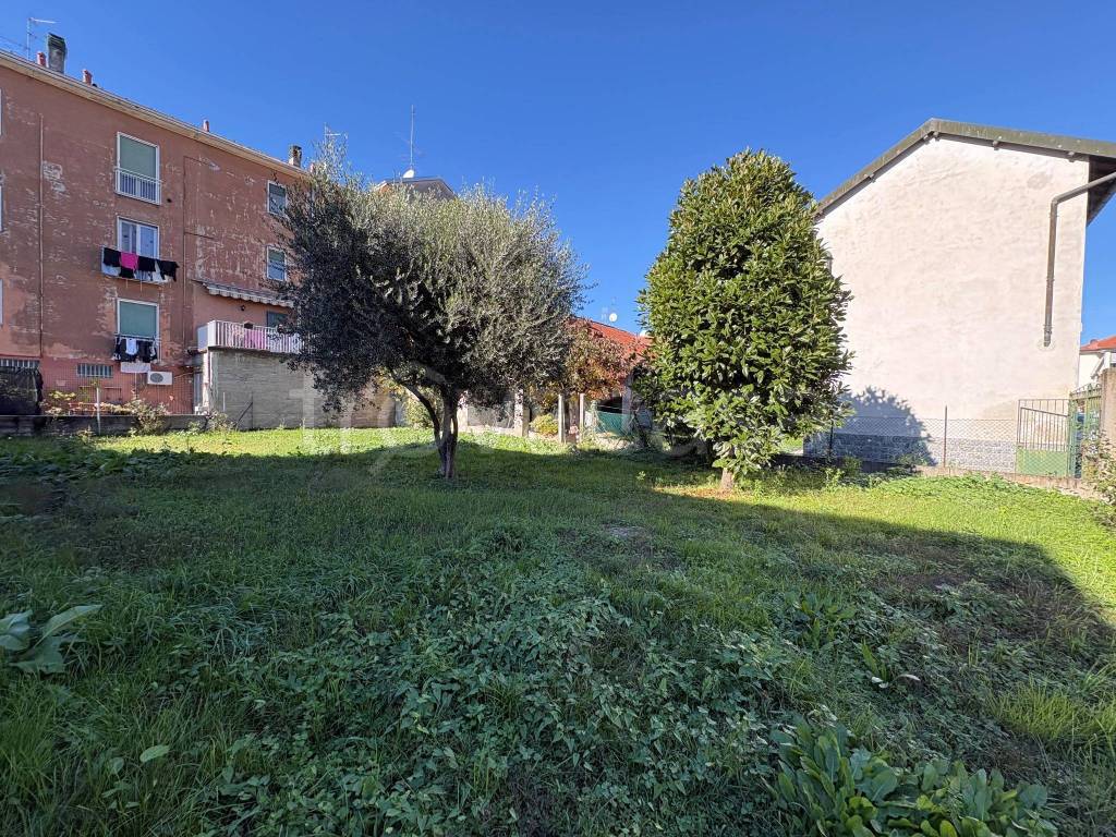 immagine annuncio 2 di 12