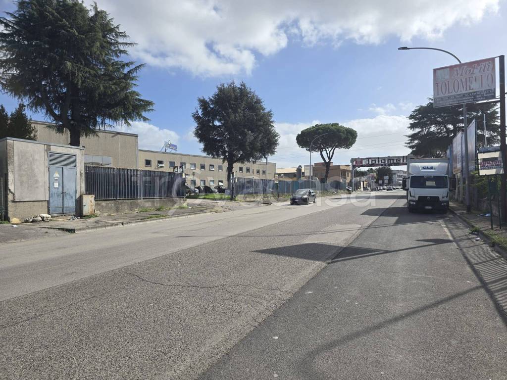 immagine annuncio 11 di 13