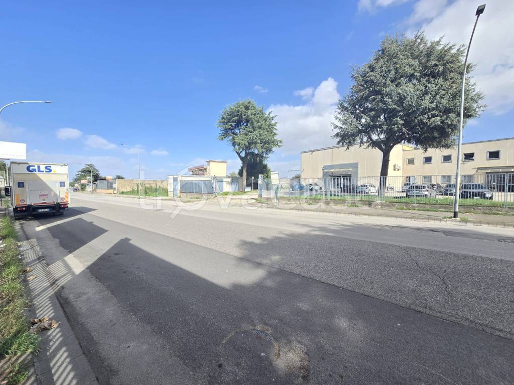 immagine annuncio 12 di 13