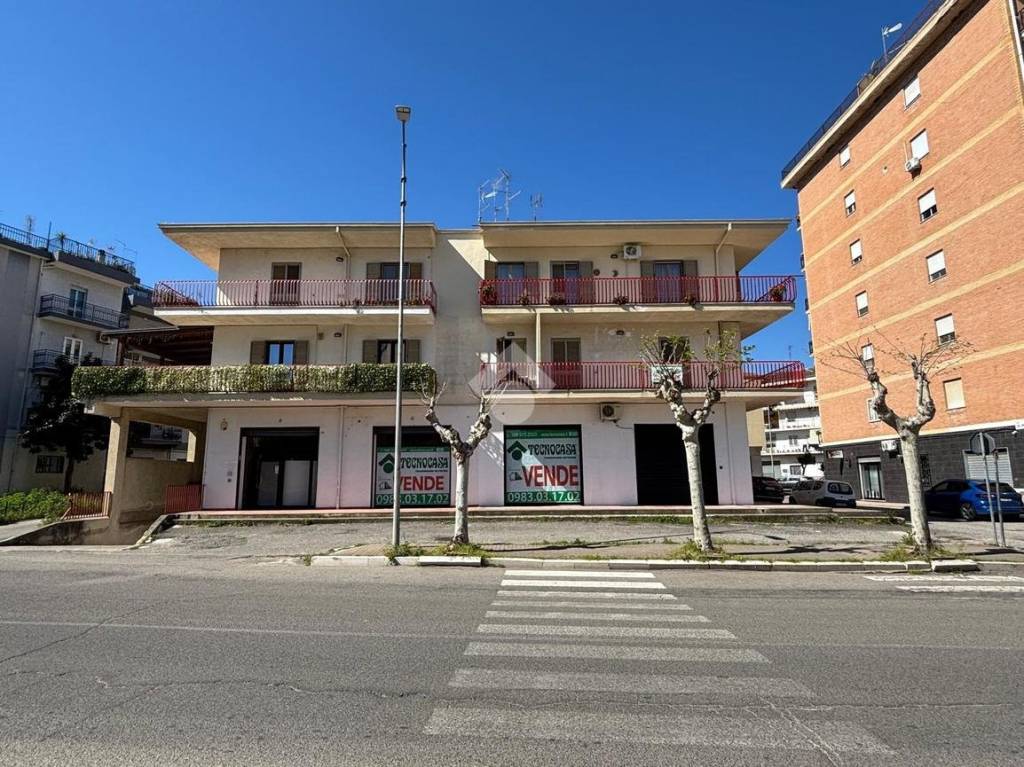 immagine annuncio 7 di 8