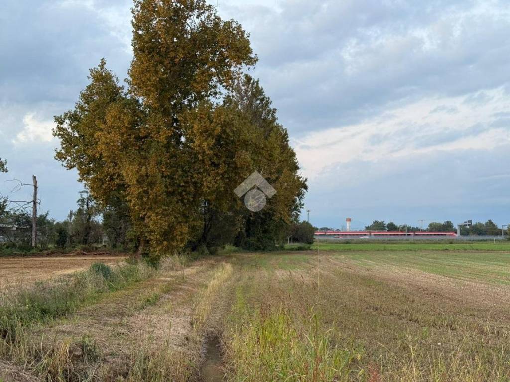 immagine annuncio 12 di 14