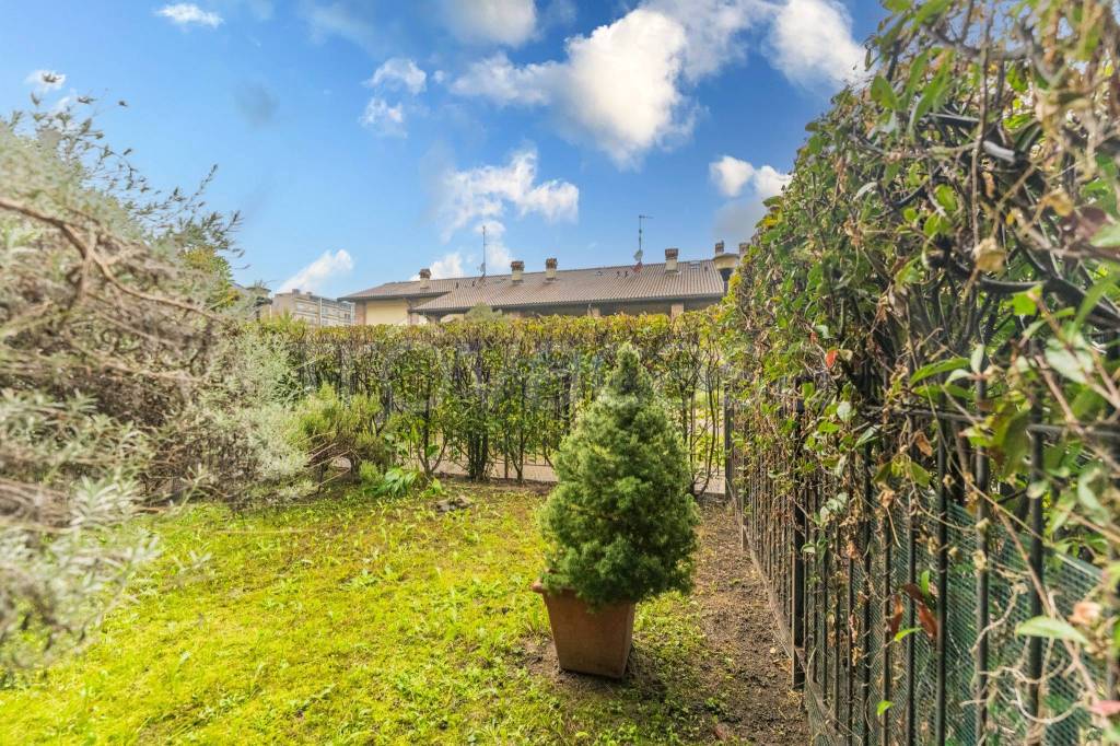 immagine annuncio 11 di 15