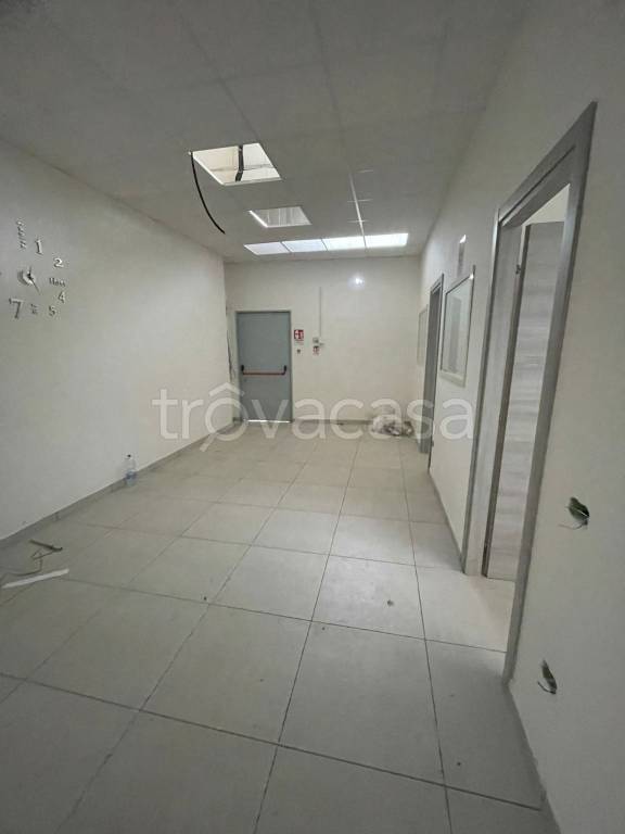 immagine annuncio 3 di 8