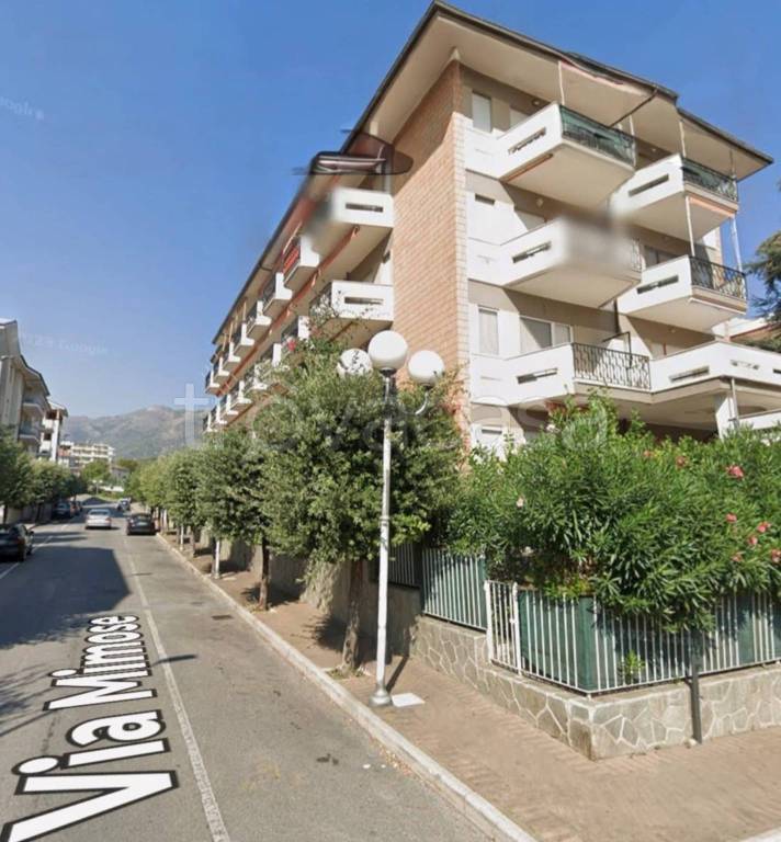 immagine annuncio 9 di 10