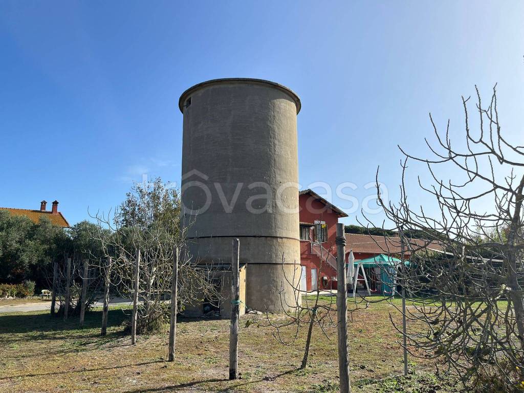 immagine annuncio 6 di 9