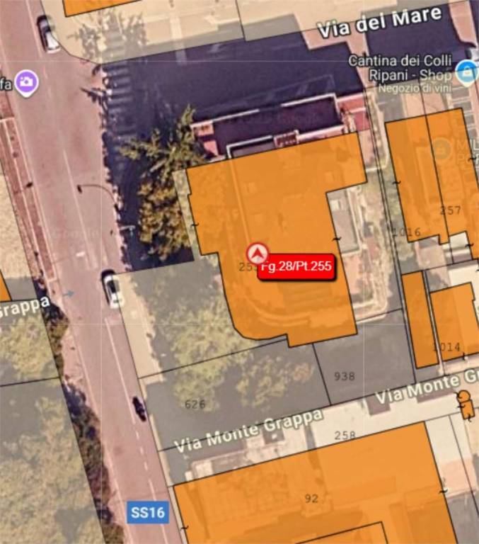 immagine annuncio 2 di 13