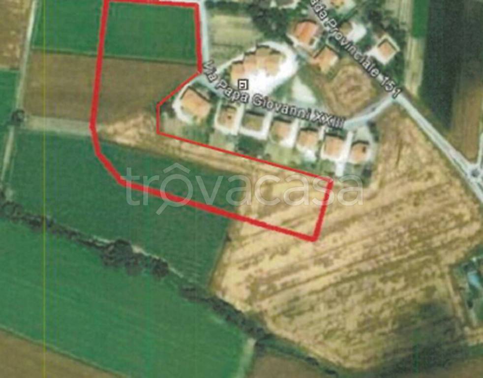 immagine annuncio 1 di 9