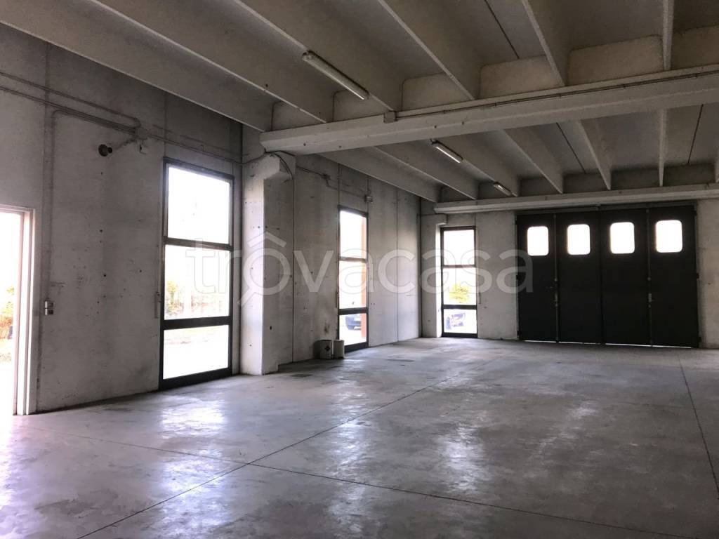 immagine annuncio 4 di 14