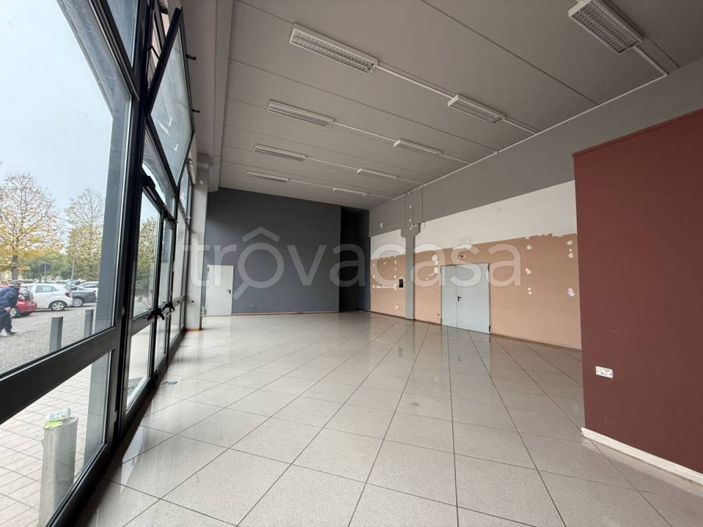 immagine annuncio 5 di 14