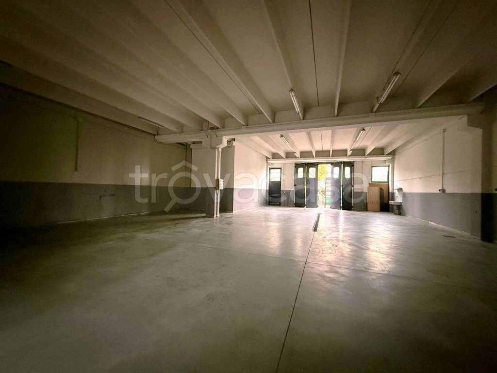 immagine annuncio 7 di 14