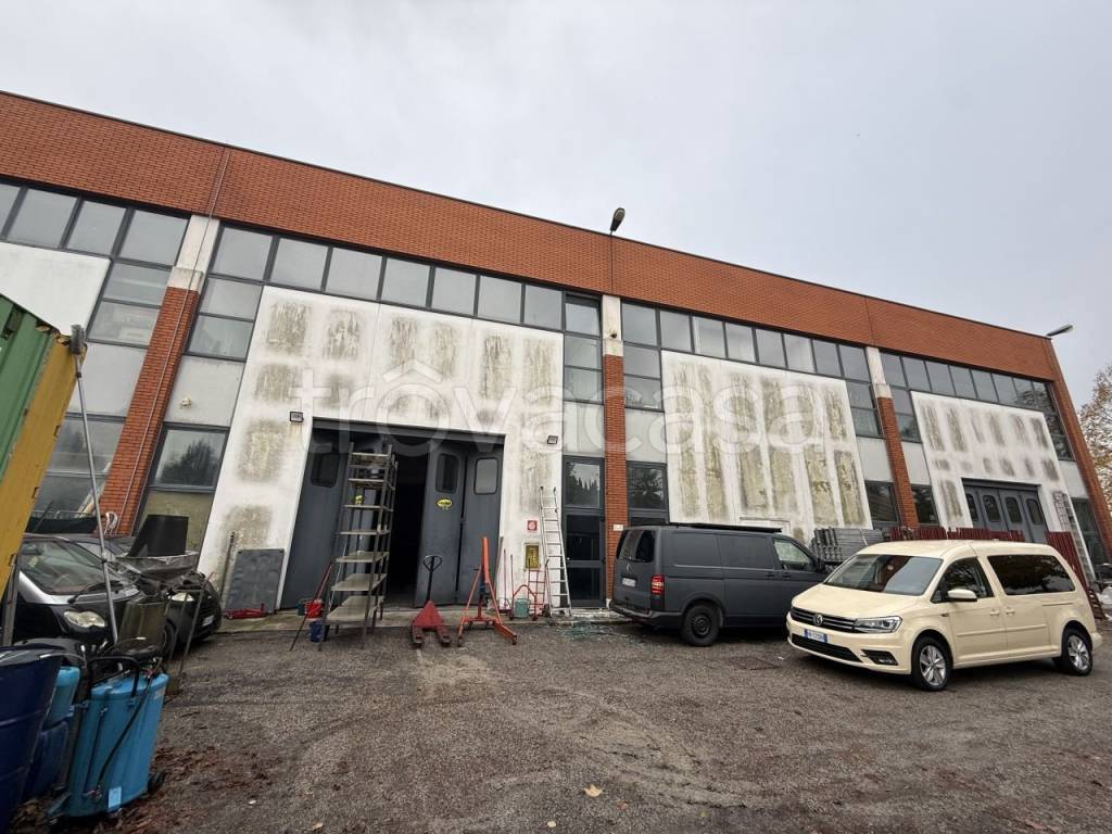 immagine annuncio 9 di 14