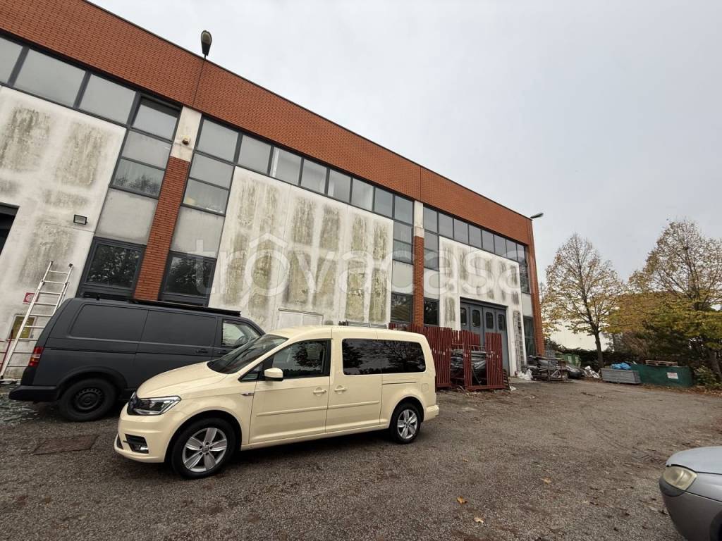 immagine annuncio 10 di 14