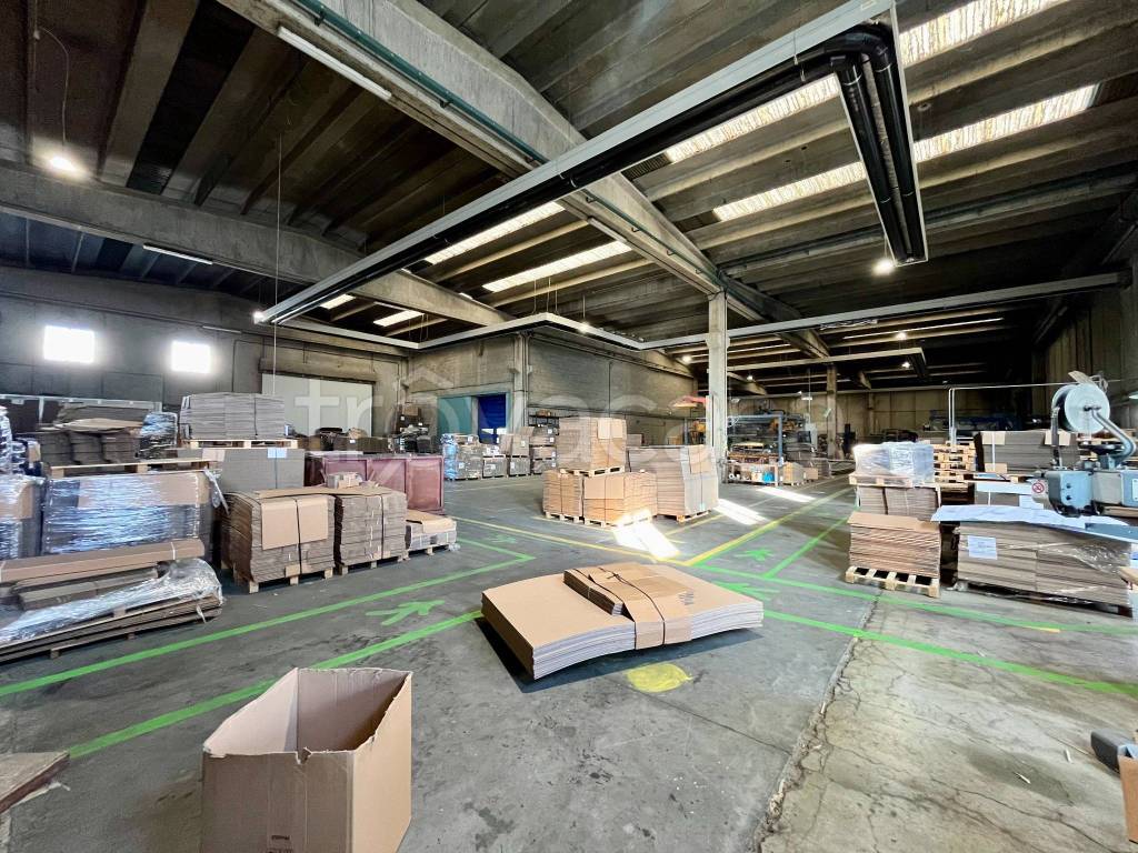 immagine annuncio 14 di 15