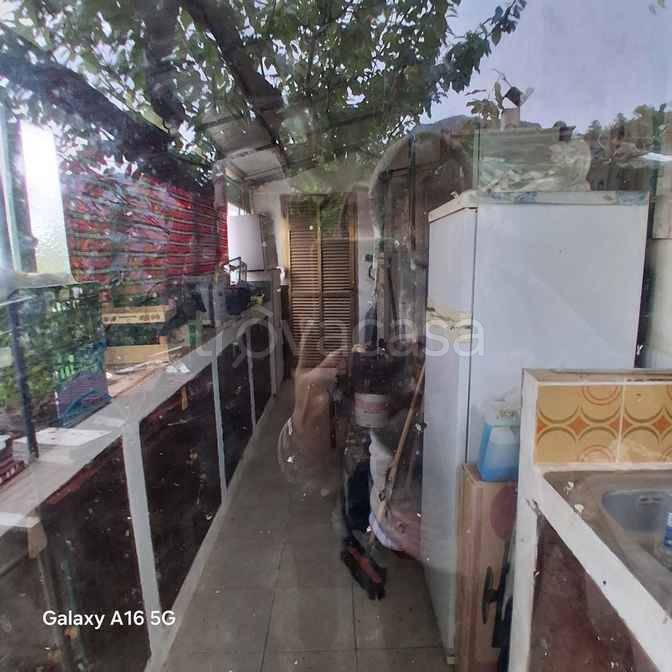 immagine annuncio 10 di 14