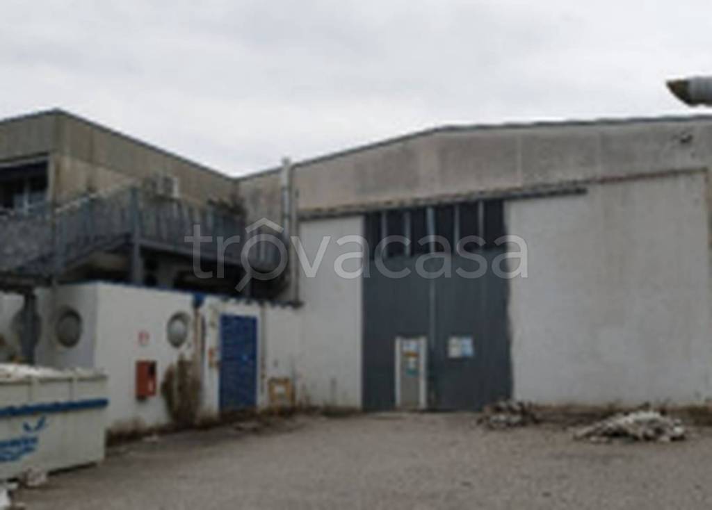 immagine annuncio 6 di 13