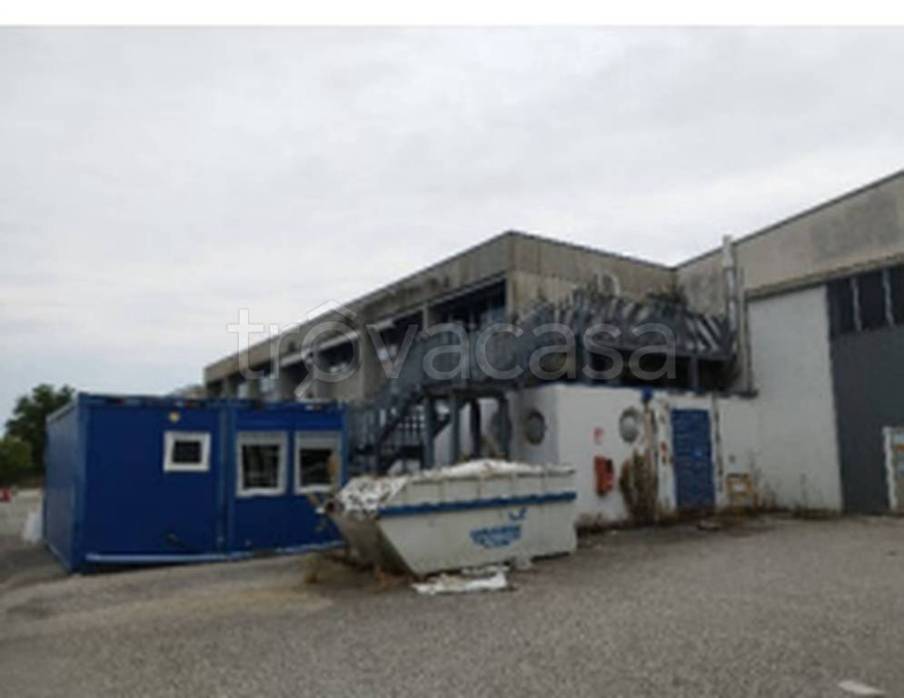 immagine annuncio 7 di 13