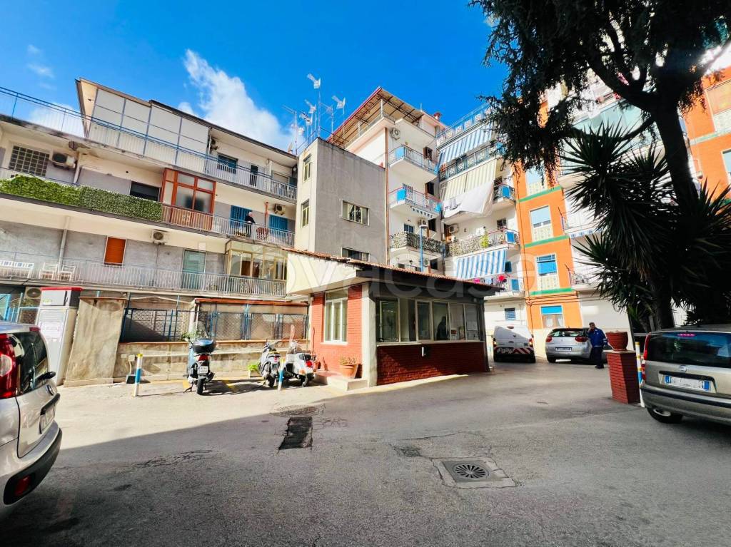 immagine annuncio 5 di 11