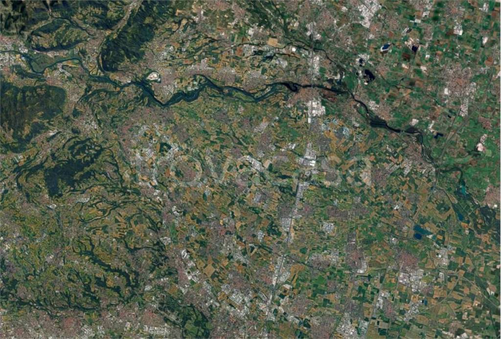 immagine annuncio 12 di 14