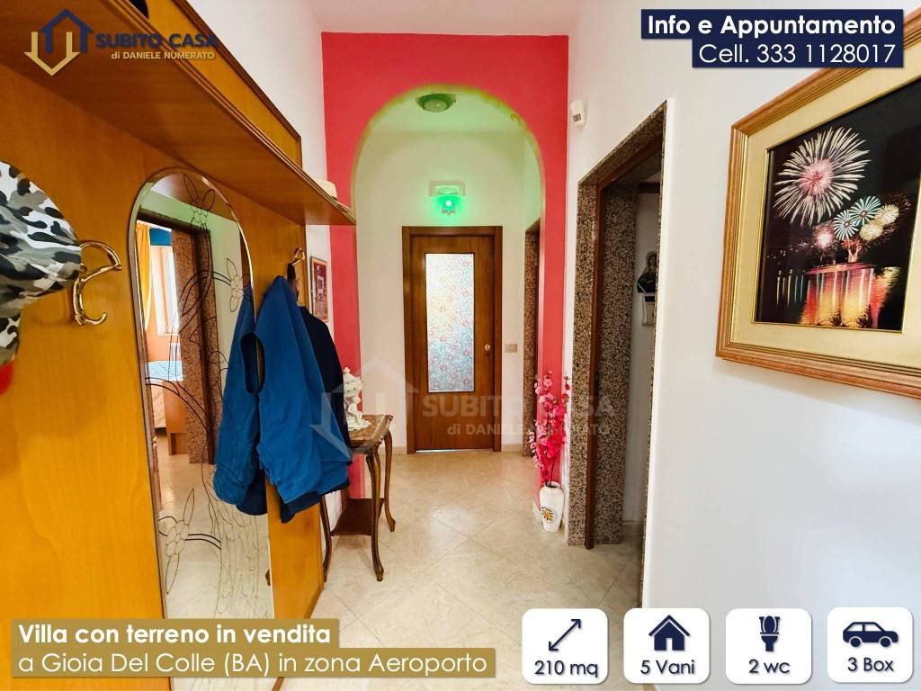 immagine annuncio 6 di 15