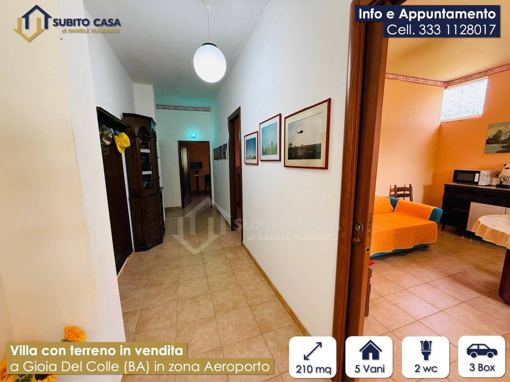 immagine annuncio 11 di 15