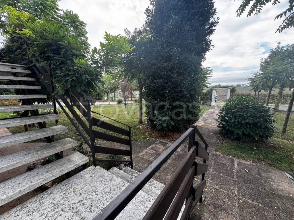 immagine annuncio 3 di 14