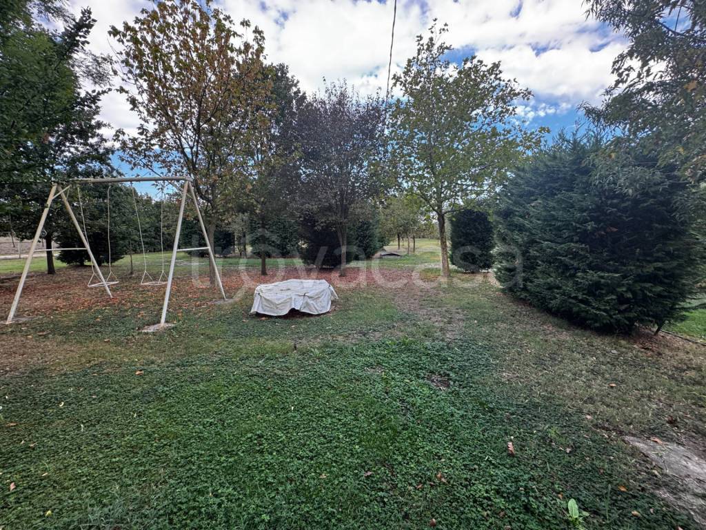 immagine annuncio 6 di 14