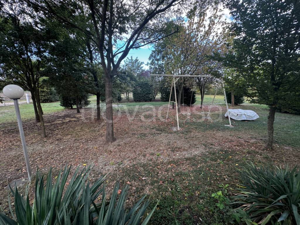 immagine annuncio 7 di 14