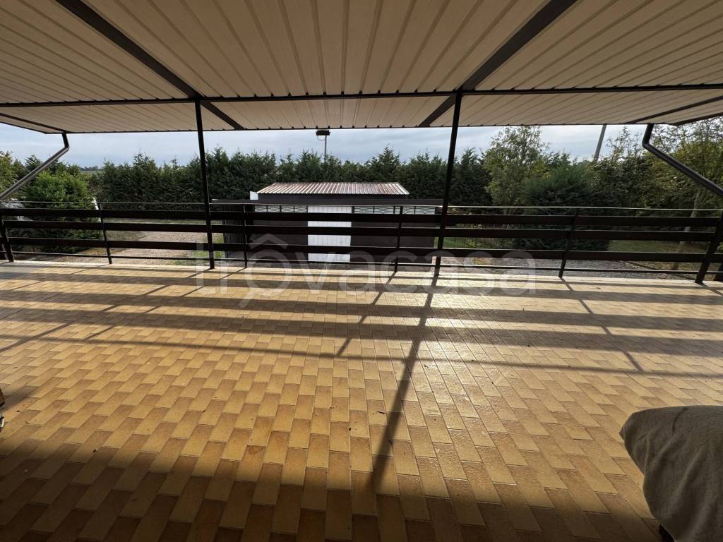 immagine annuncio 12 di 14