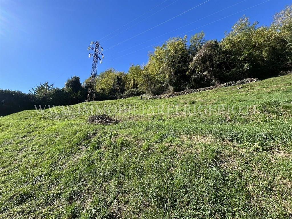 immagine annuncio 7 di 13